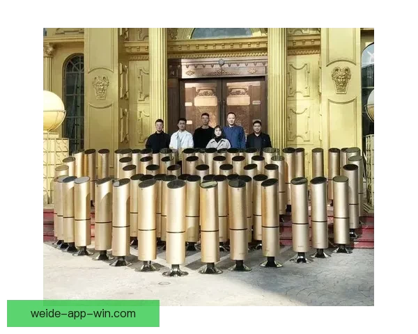 伟德比分数据分析与精准赛果预测方法全面解析