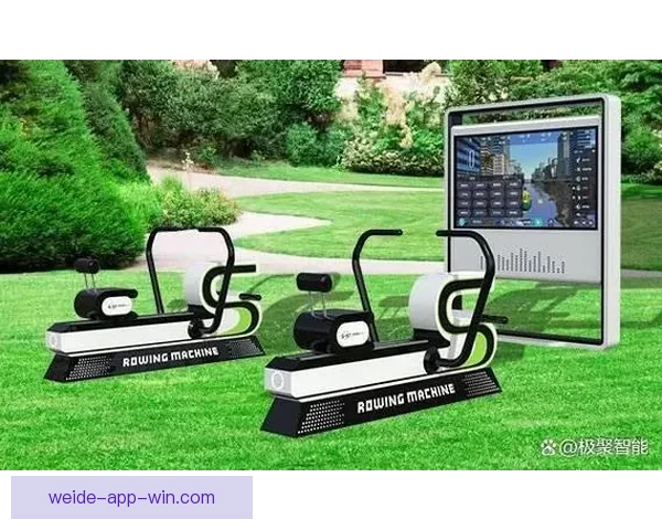 伟德体育如何评测及其用户体验分析解析